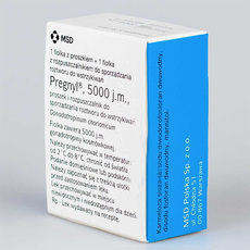Прегнил